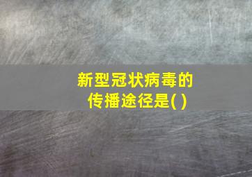 新型冠状病毒的传播途径是( )